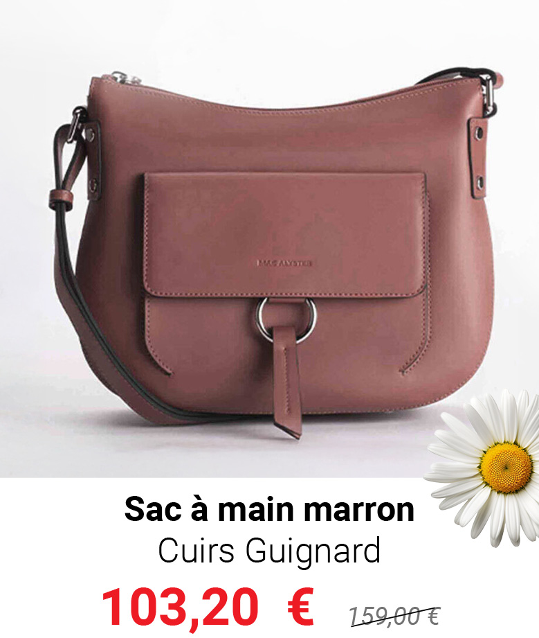 sac à main marron Cuirs Guignard